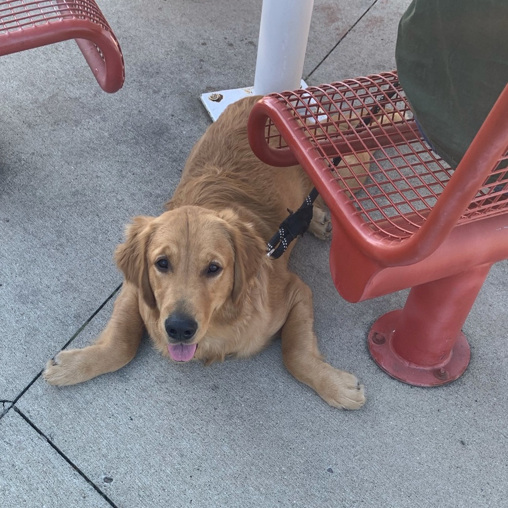 Meet your Posher, Grace